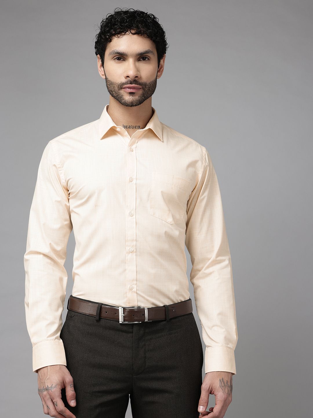 Park Avenue Slim Fit Formal Shirt