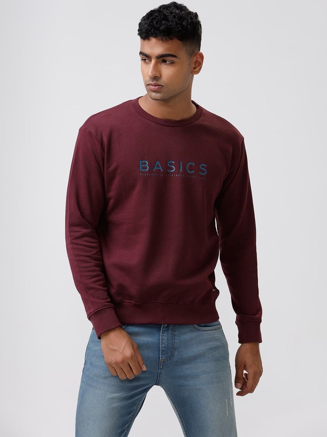 Basics Men Pullover