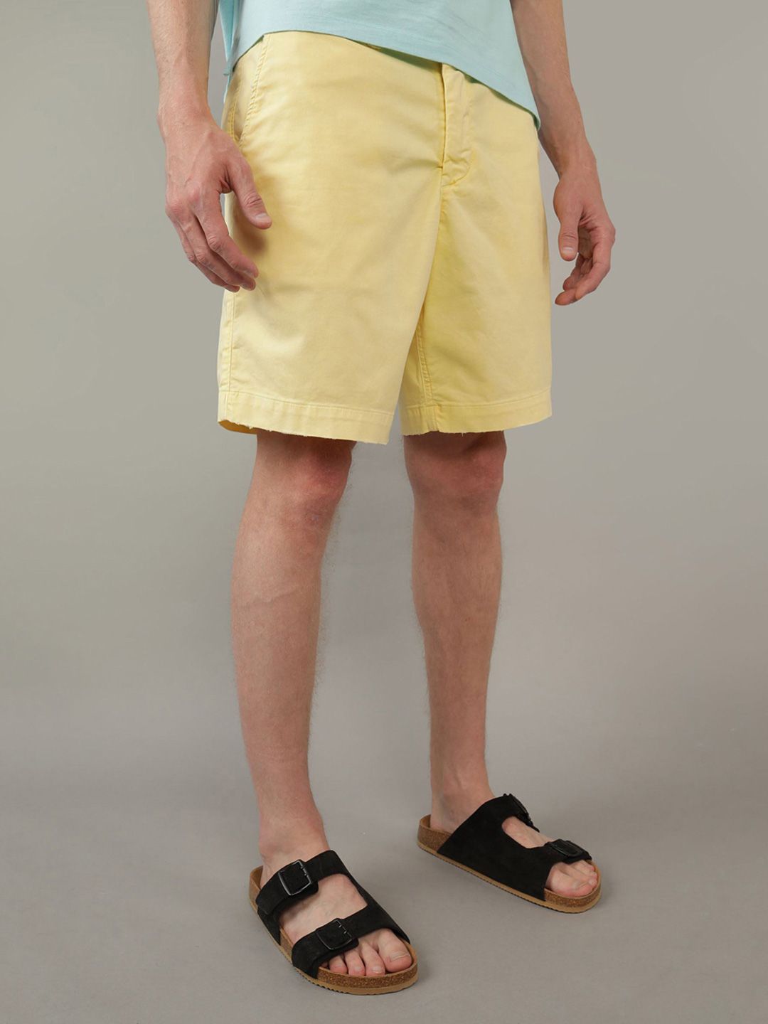 AMERICAN EAGLE OUTFITTERS Men Mid-Rise Regular Shorts