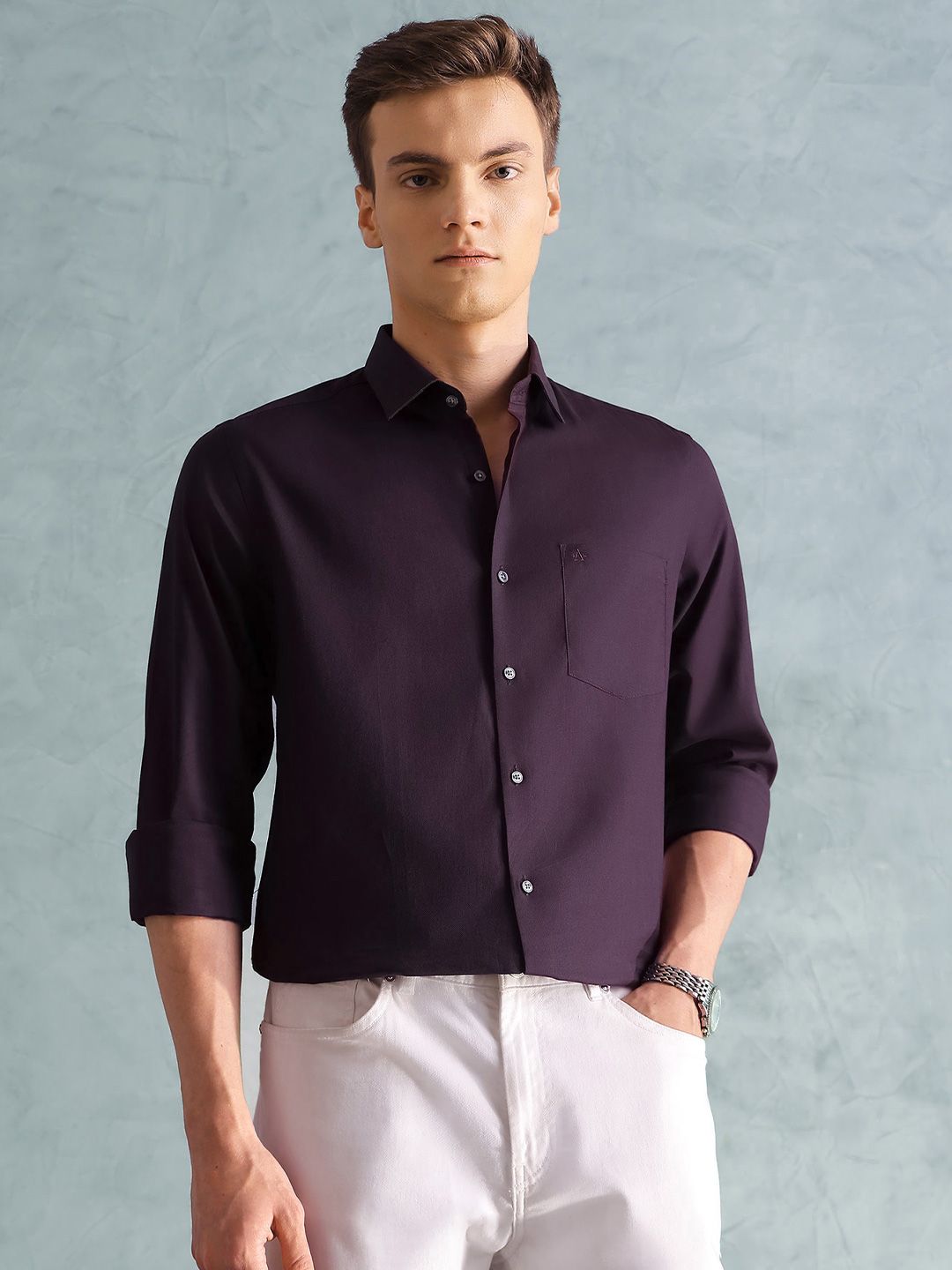 Arrow Slim Fit Spread Collar Long Sleeves Pure Cotton Formal Shirt