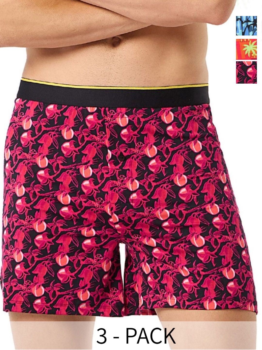 bummer Pack of 3 Printed Mircomodal Boxers BOGTCBICE03S