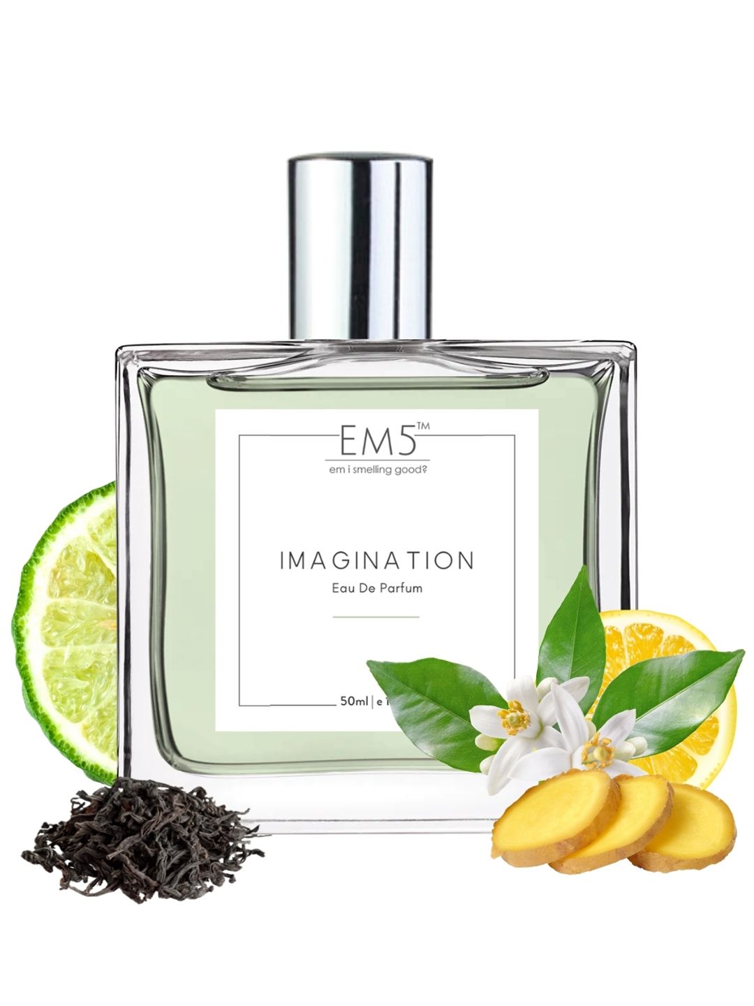 EM5 Men Imagination Long Lasting Eau De Parfum - 50 ml