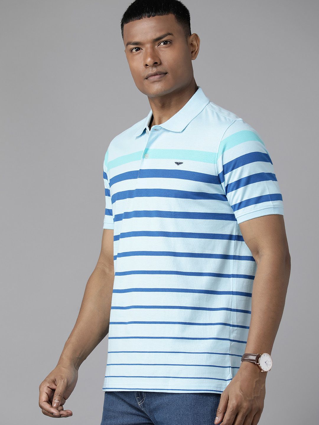 Park Avenue Men Striped Polo Collar Slim Fit T-shirt