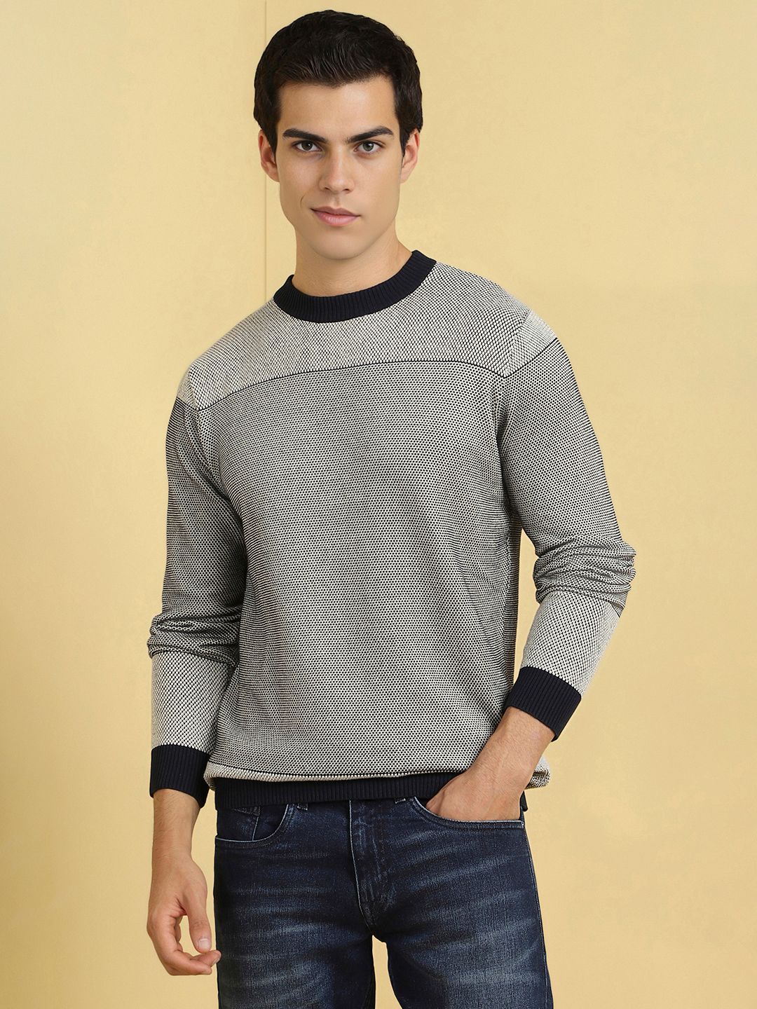 Allen Solly Men Printed Pullover