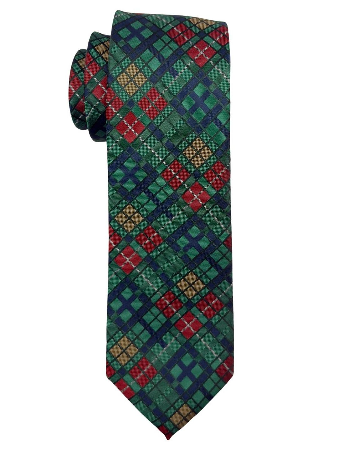 The Tie Hub Men Checked Skinny Tie