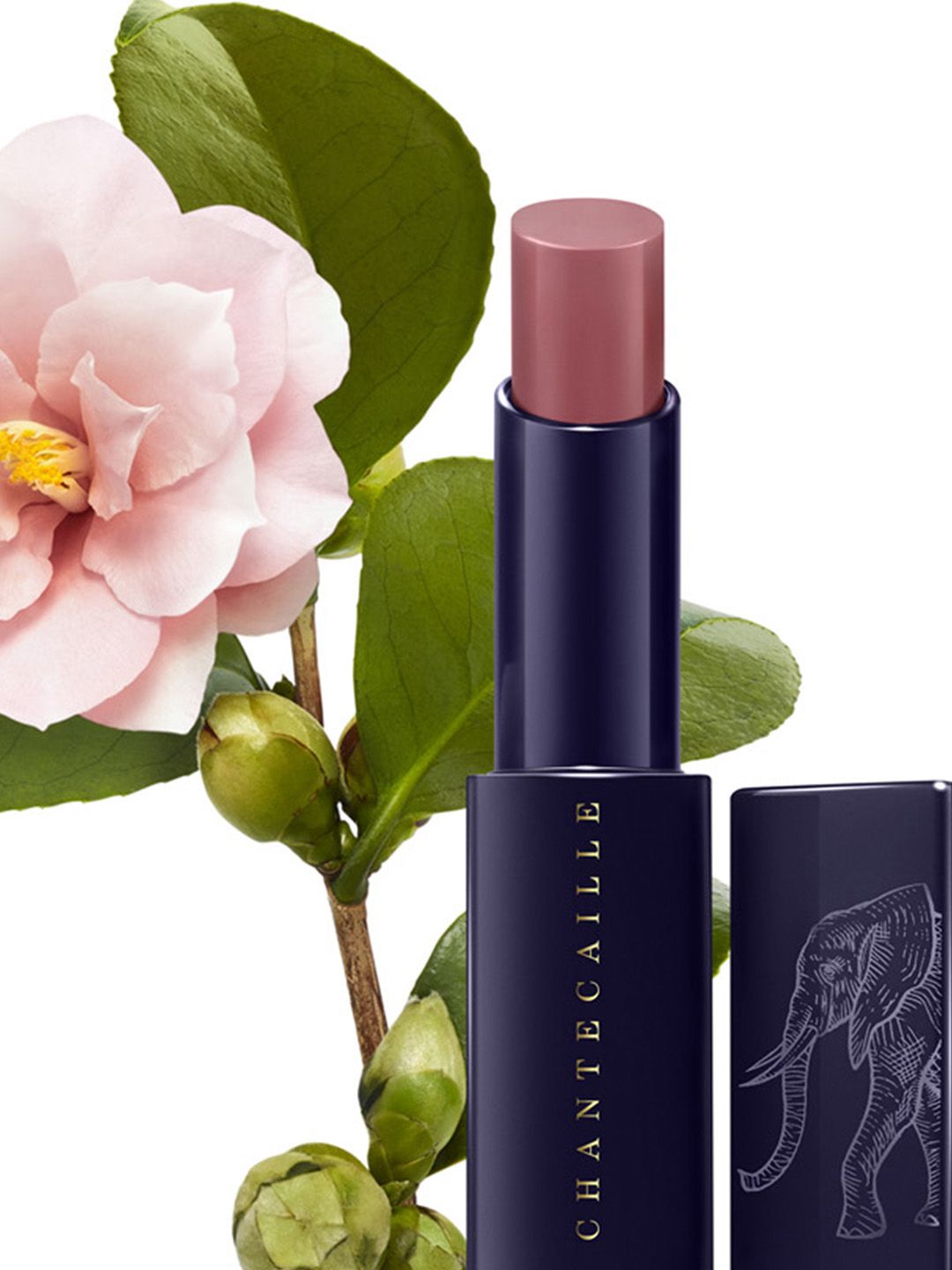Buy Chantecaille Lip Veil Lipstick 2.5g - Tamboti - Lipstick for Buy Chantecaille Lip Veil Lipstick 2.5g - Tamboti - Lipstick for