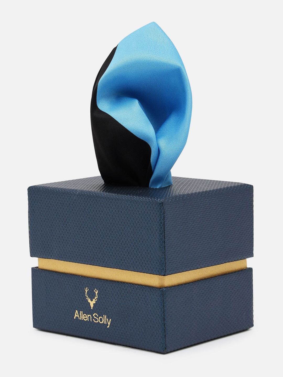 Allen Solly Colourblocked Pocket Square