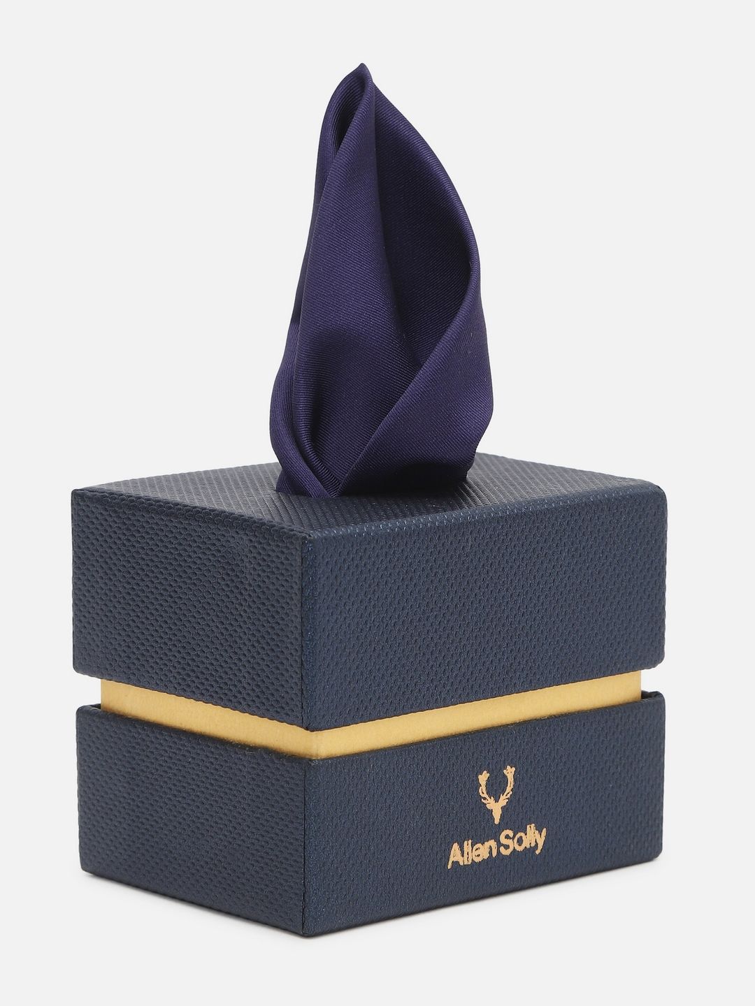 Allen Solly Solid Pocket Square