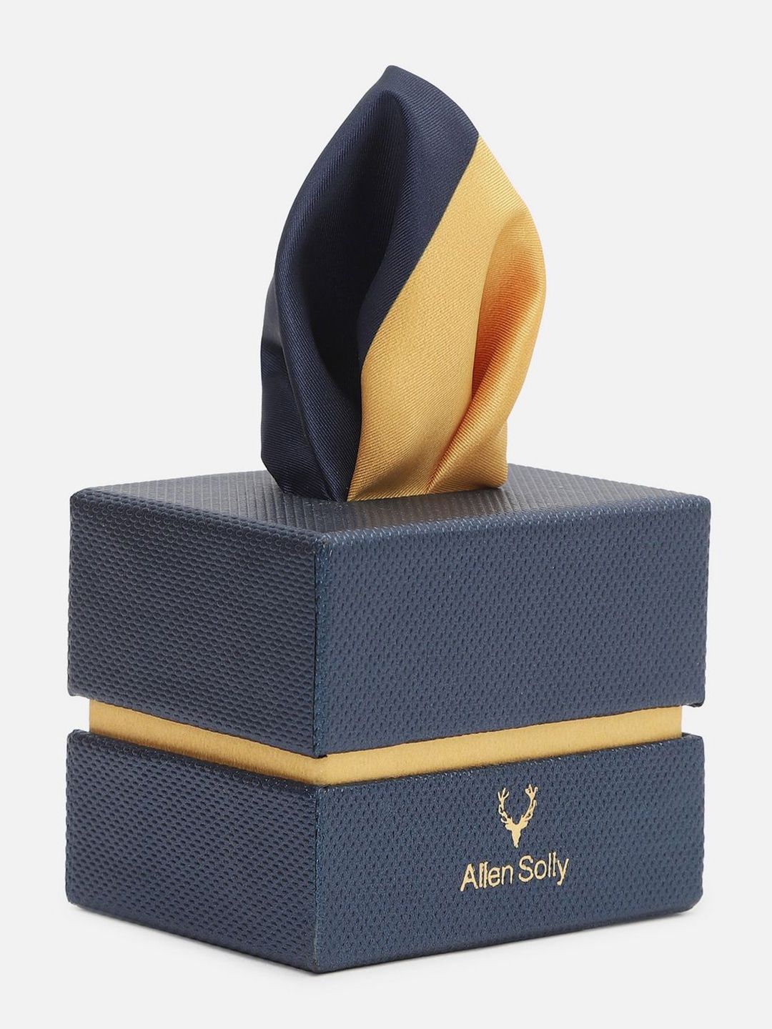 Allen Solly Colourblocked Pocket Square