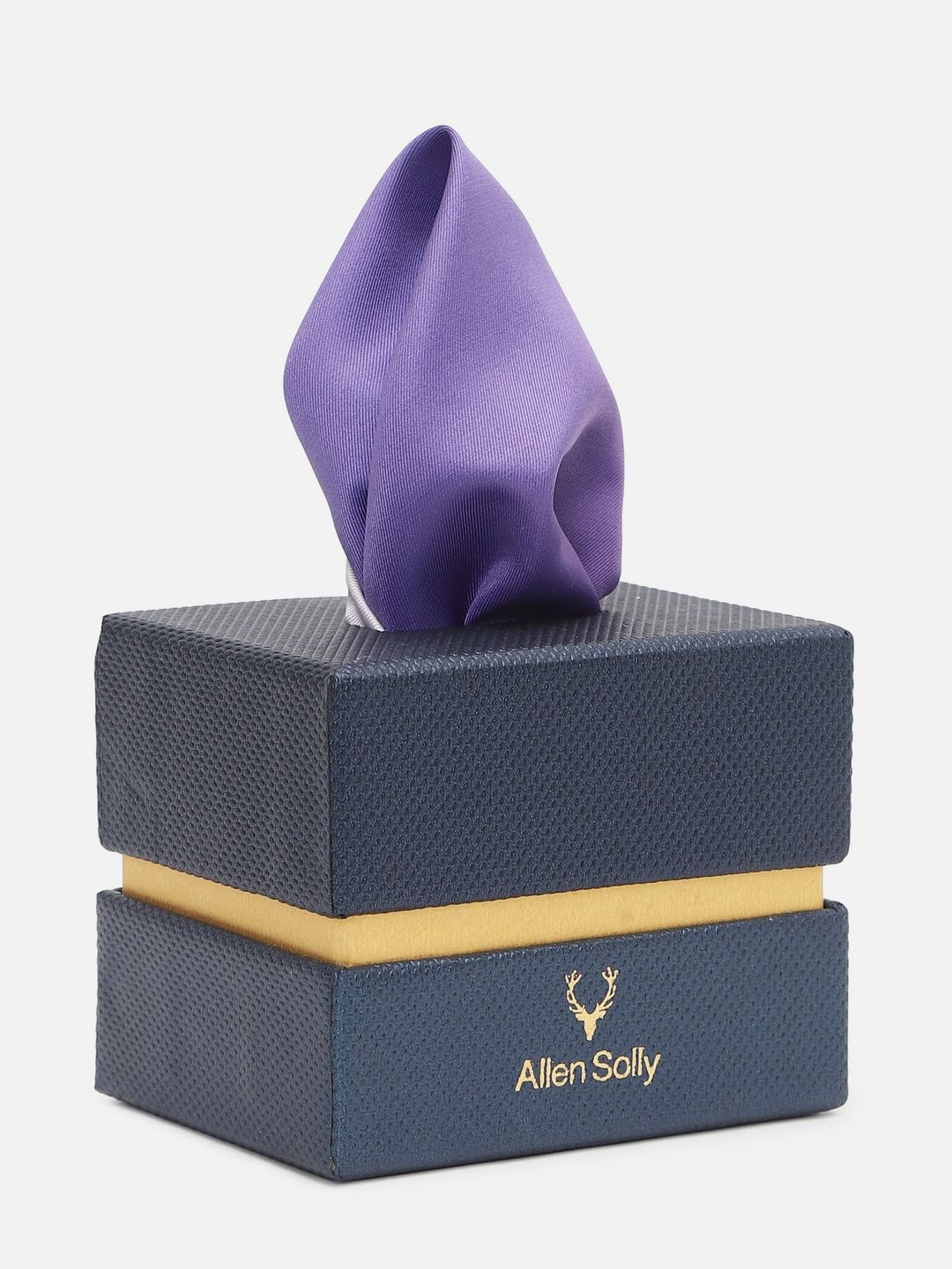 Allen Solly Geometric Printed Pocket Square