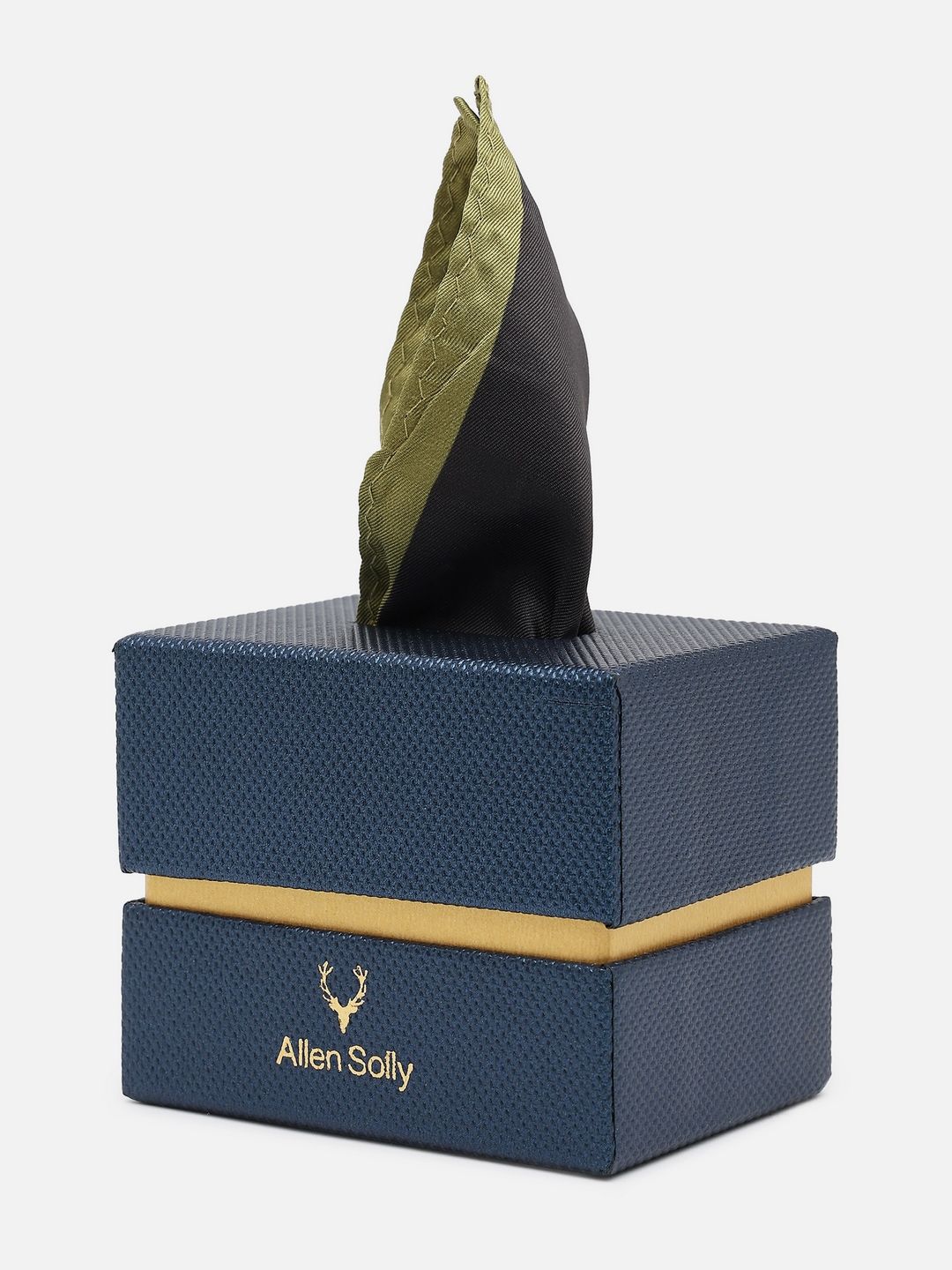 Allen Solly Solid Pocket Square