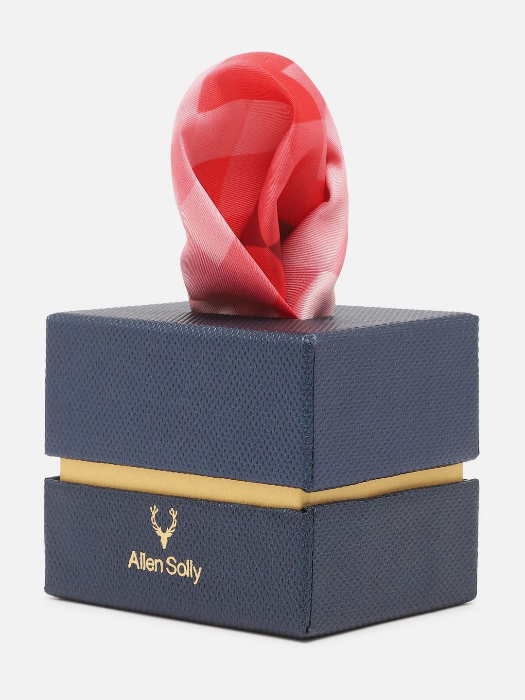 Allen Solly Geometric Printed Pocket Square