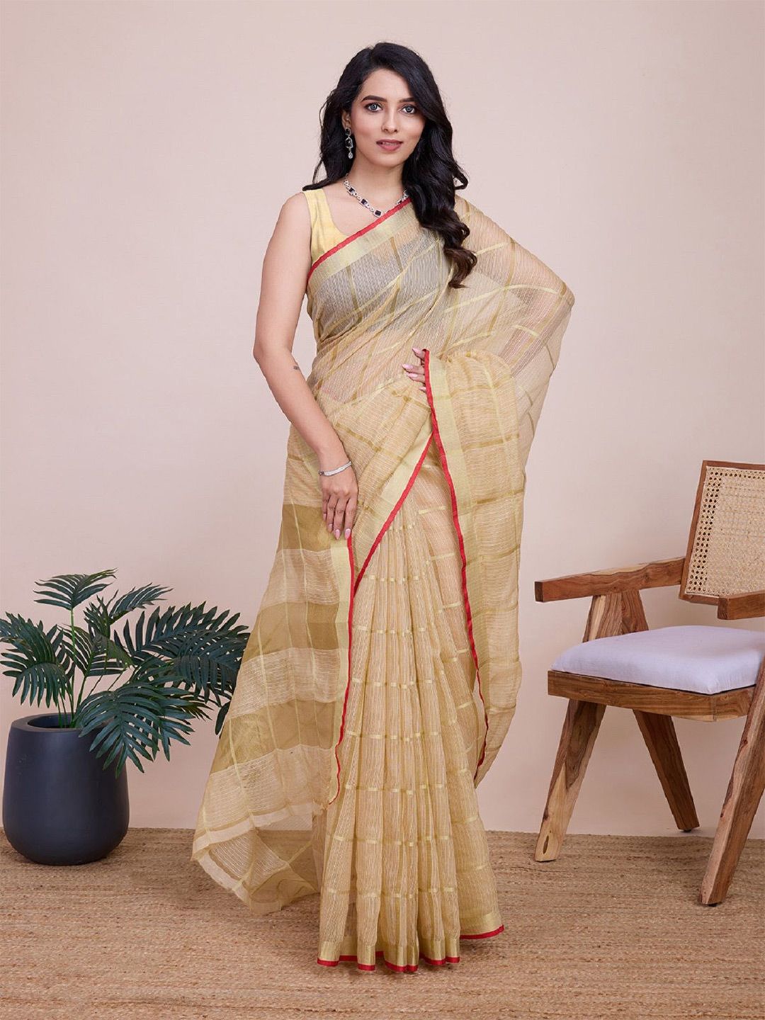 DWIJA FASHION Checked  Woven Design Zari Organza Saree