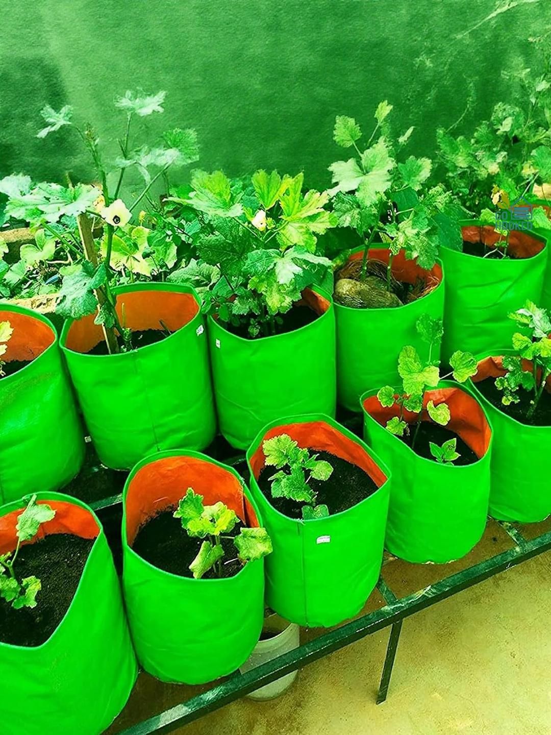Grow Bags for Gardening Vegetables Herbs & Flowers Planter Bags