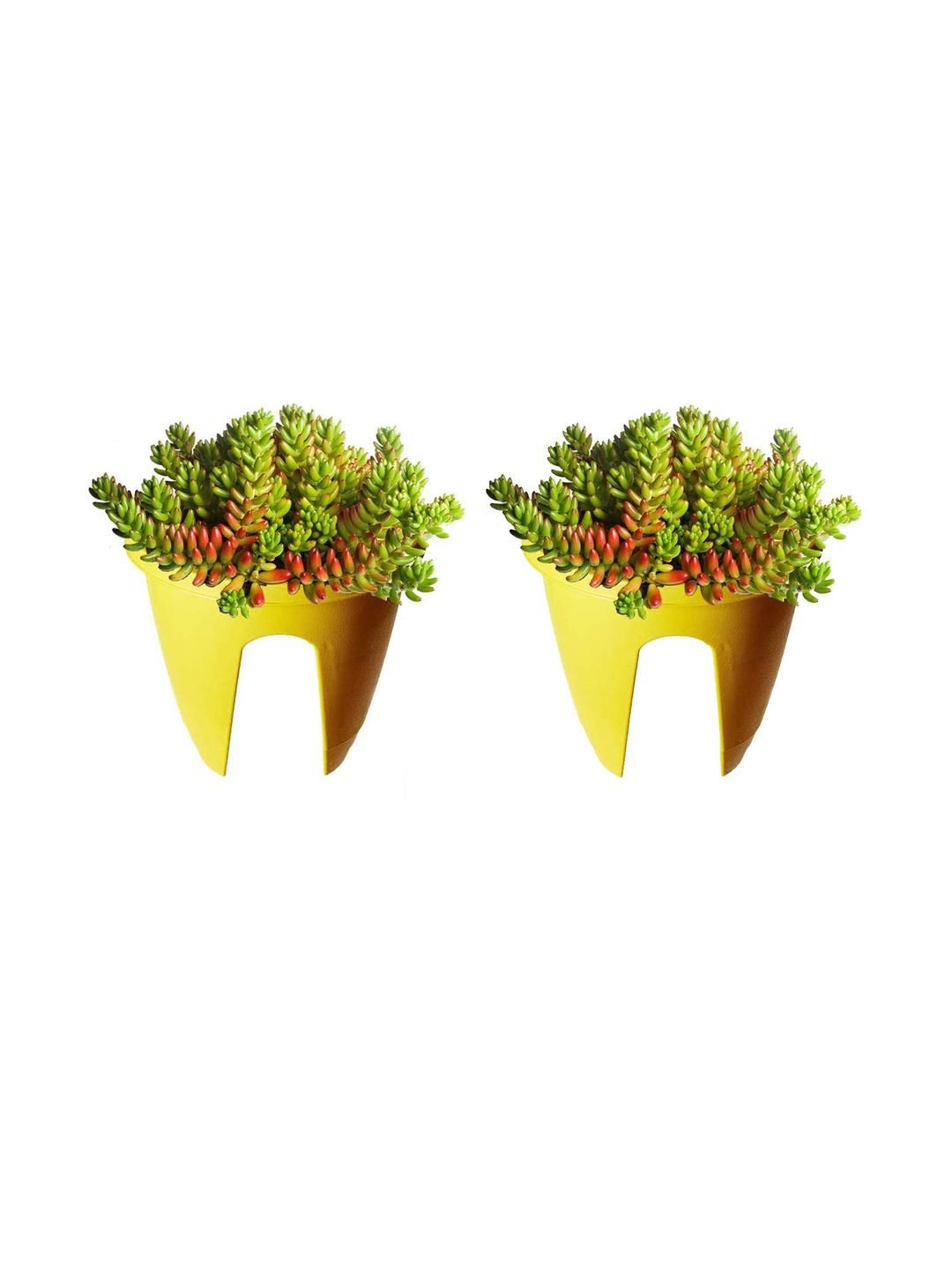 Railing Planter Hanging Pots for Plant - 2 Nos