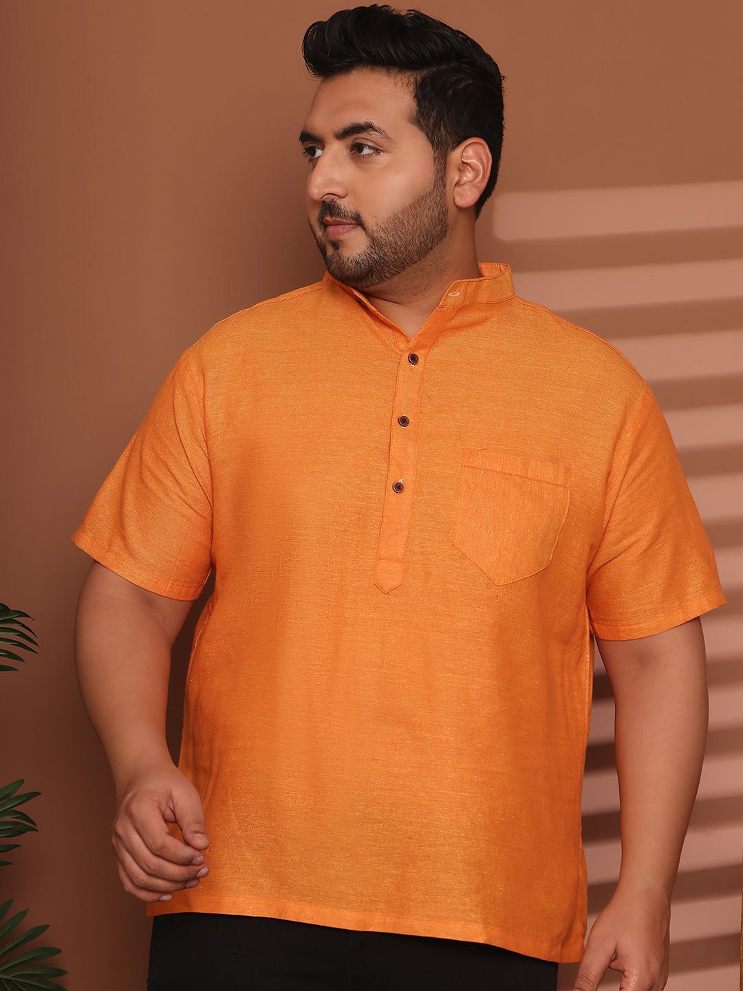 Enchanted Drapes Mandarin Collar Cotton Straight Kurta