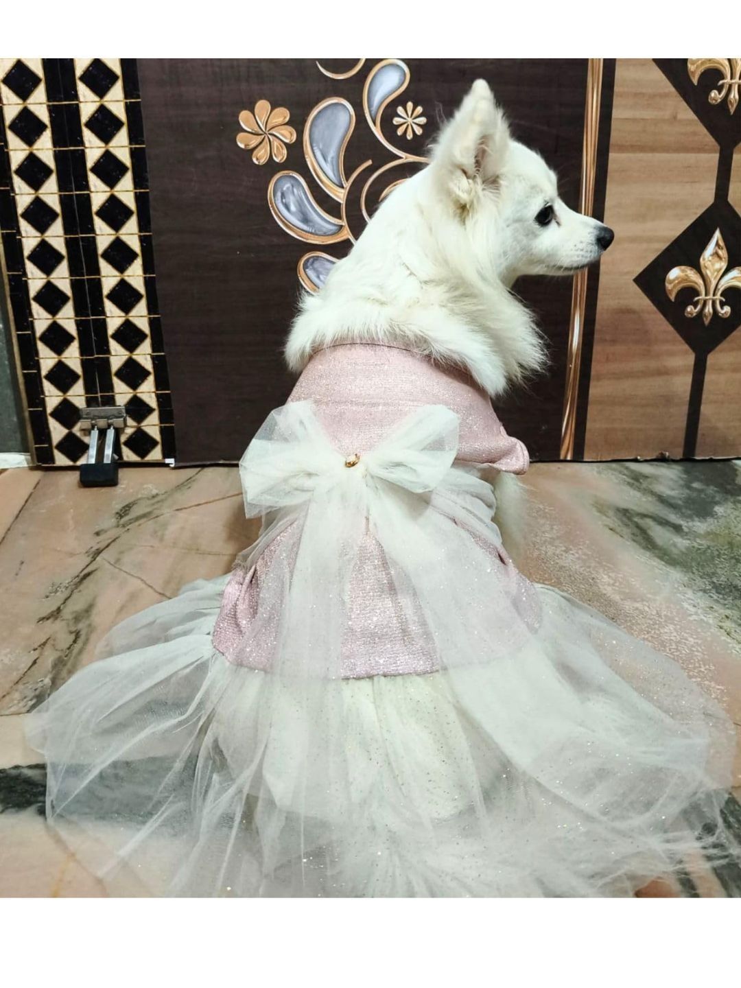 Dog Dress - Buy Dog Dress online in India Dog Dress - Buy Dog Dress online in India