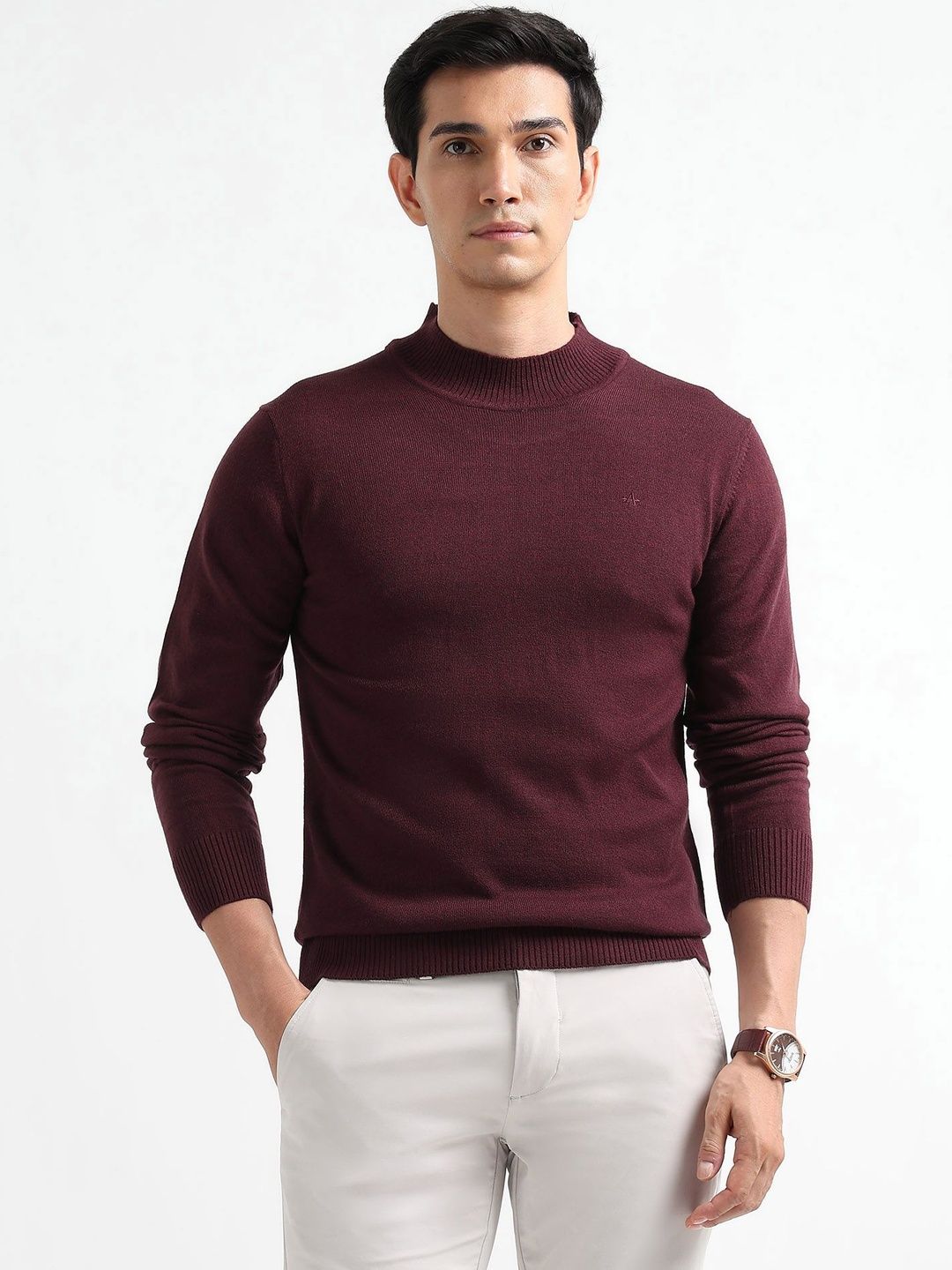 Arrow Sport Men Pullover