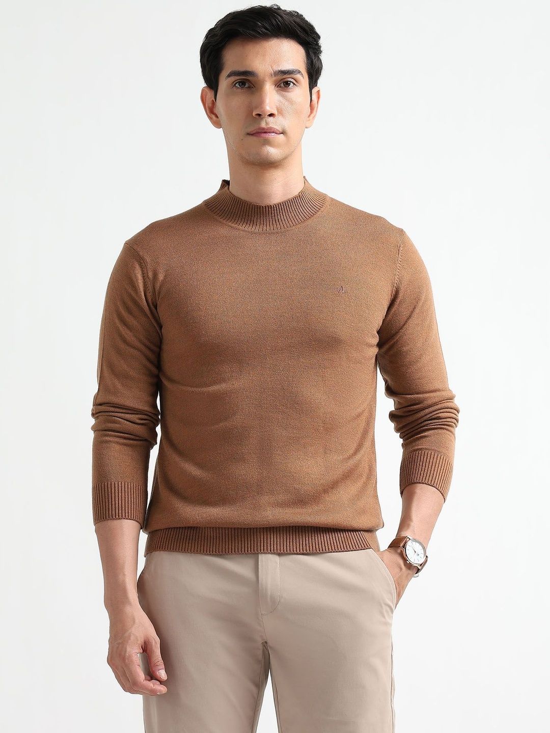 Arrow Sport Men Pullover