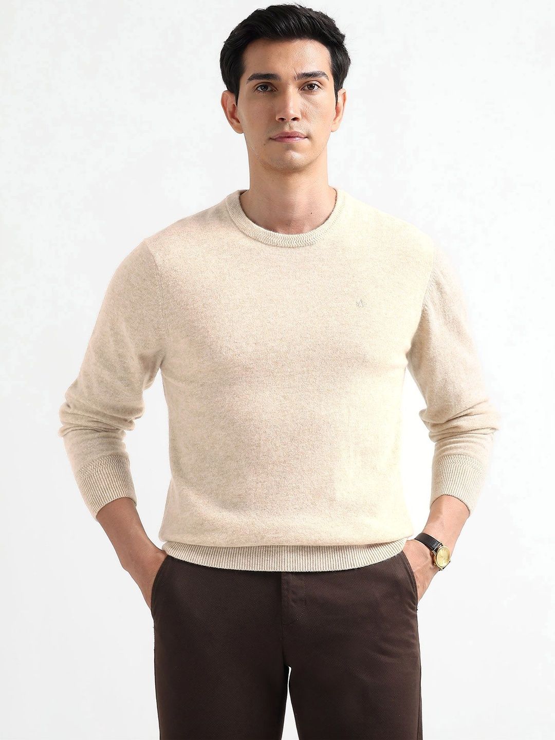 Arrow Sport Men Pullover