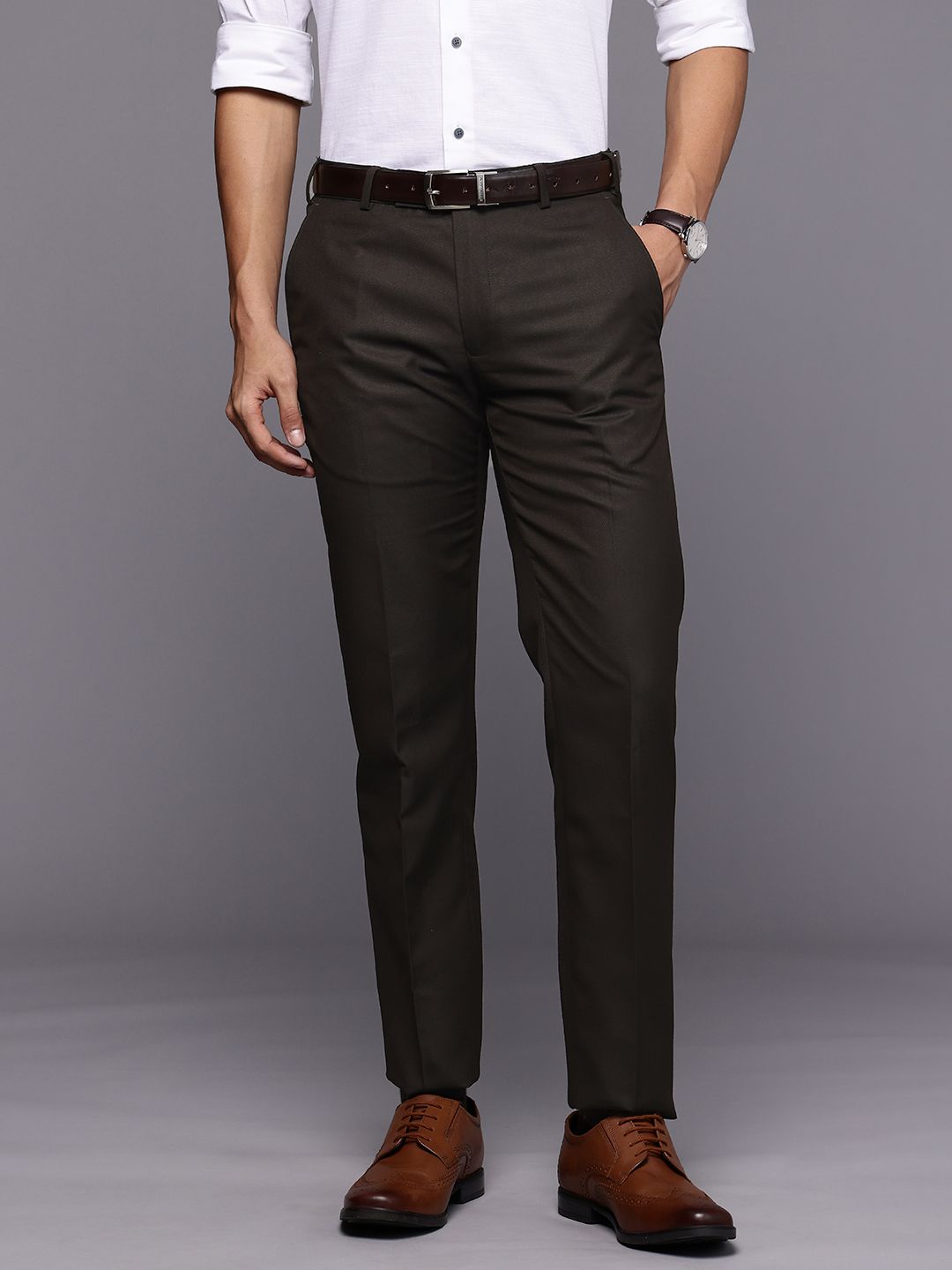 Raymond Men Slim Fit Self Design Textured Formal Trousers