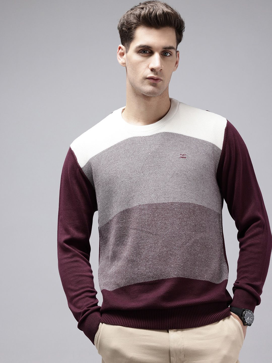 ColorPlus Round Neck Colourblocked Pure Cotton Pullover