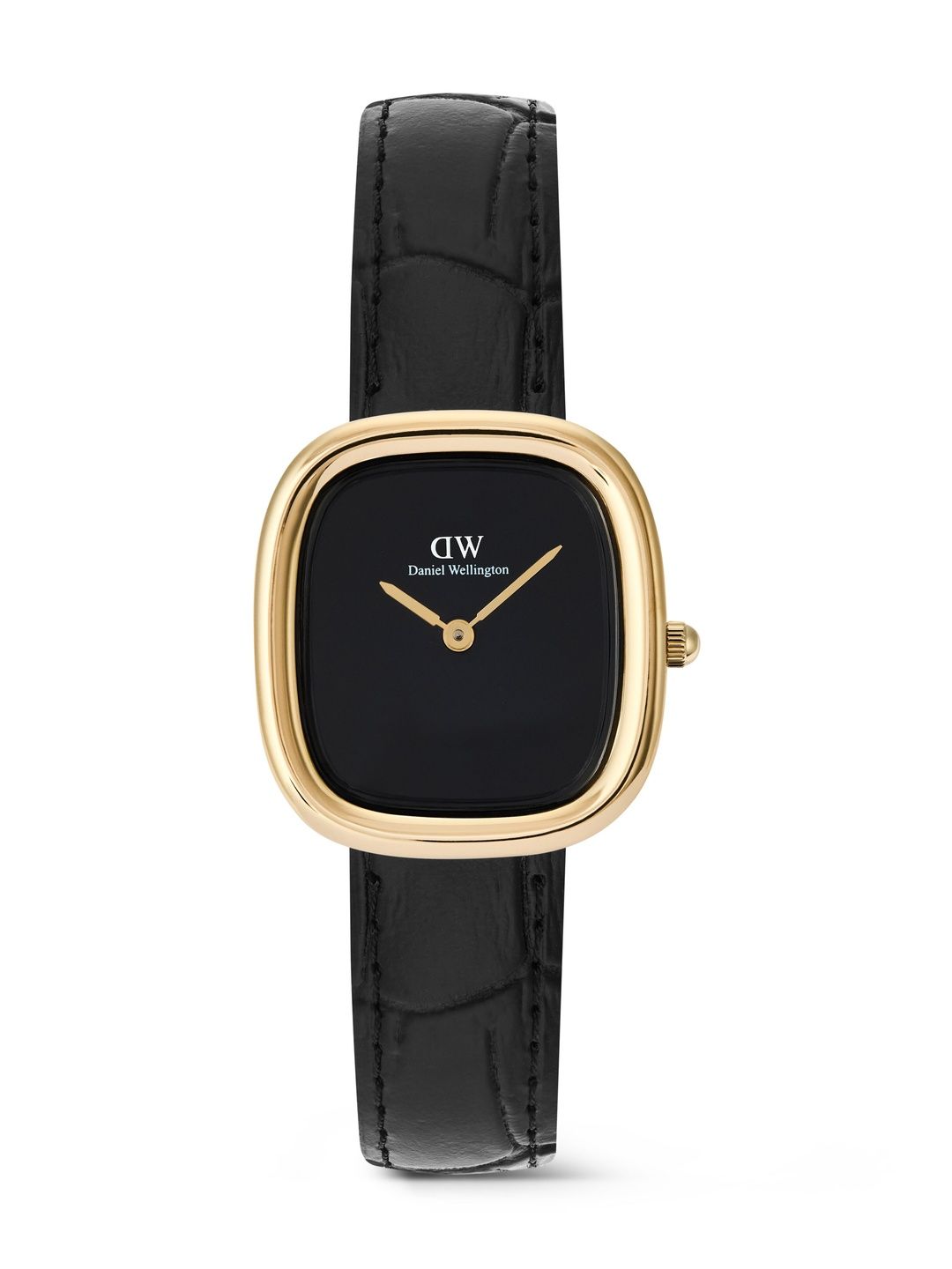 Daniel Wellington Daniel Wellington Women Dial & Straps Analogue Watch DW00100880K