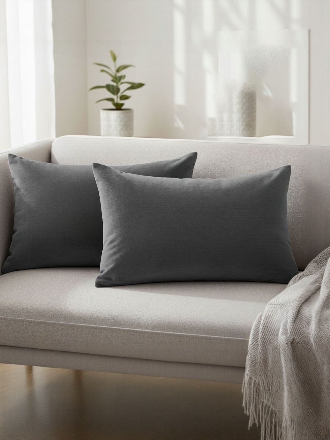 DADDY COOL DADDY COOL Grey 2 Pieces Velvet Rectangle Pillow Covers