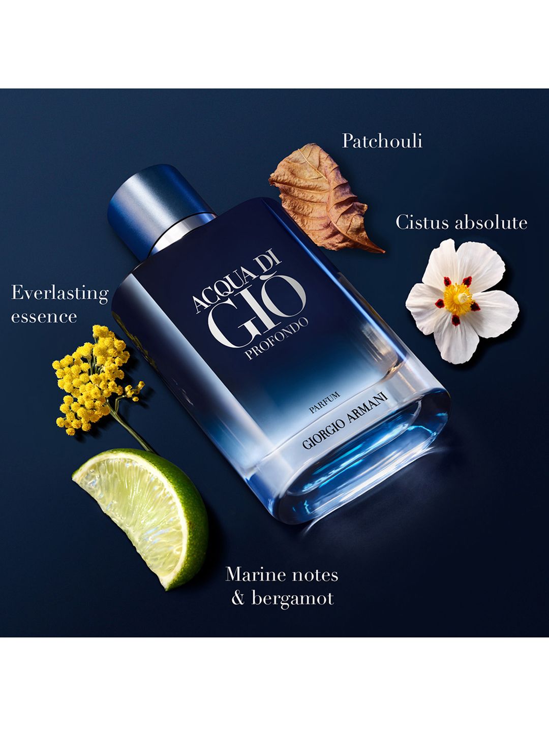 Buy Giorgio Armani Men Acqua Di Gio Profondo Parfum - 50 ml