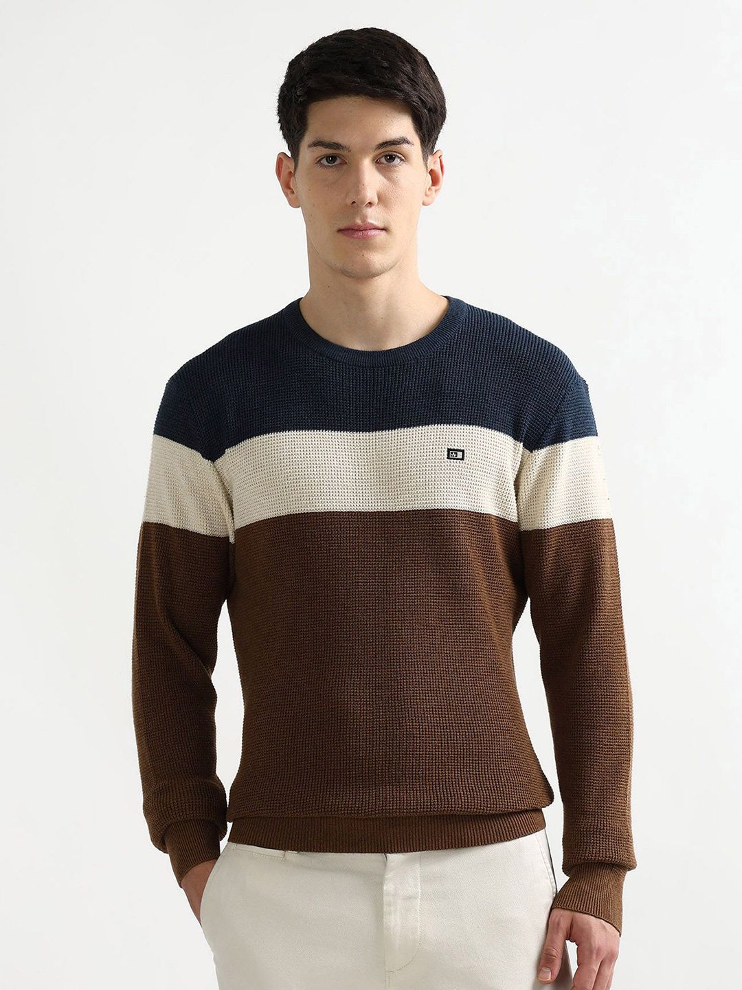 Arrow Sport Men Cotton Colourblocked Pullover Sweaters