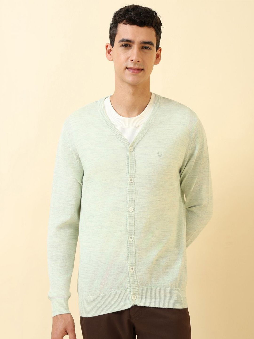 Allen Solly Men Woollen Pullover