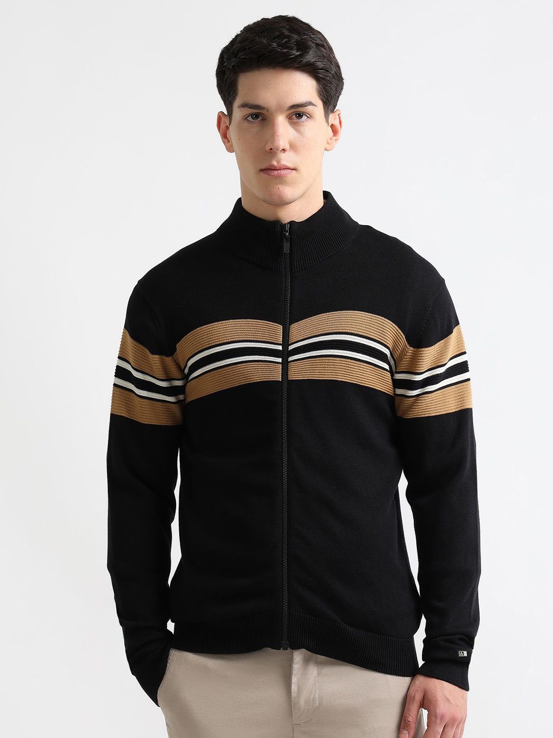 Arrow Sport Men Striped