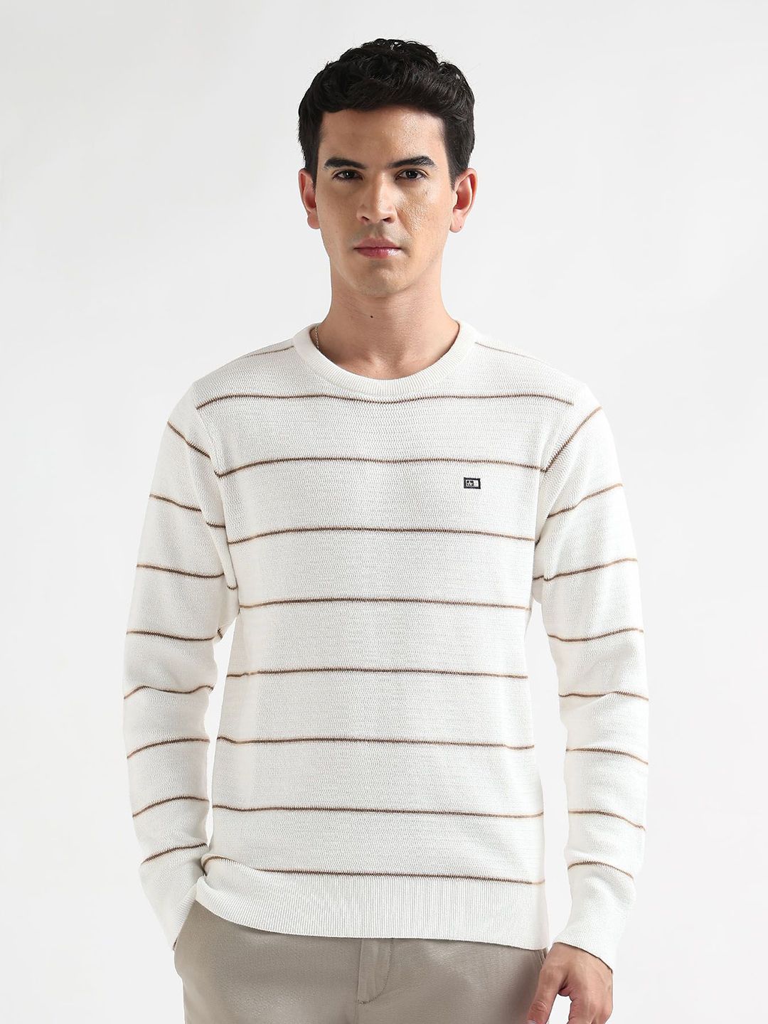 Arrow Sport Striped Round Neck Regular Fit Pure Cotton Pullover