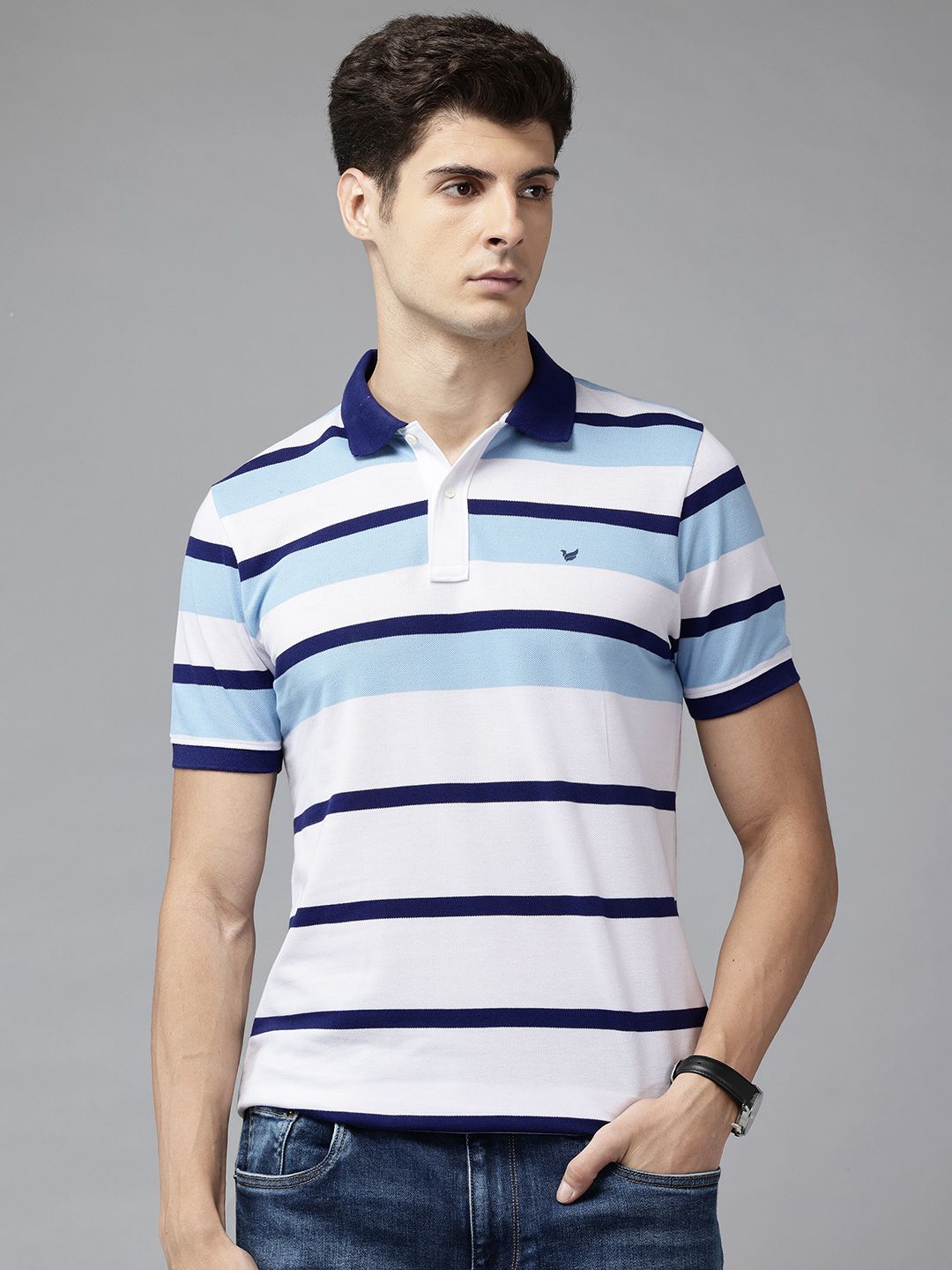 Blackberrys Men Striped Polo Collar T-shirt