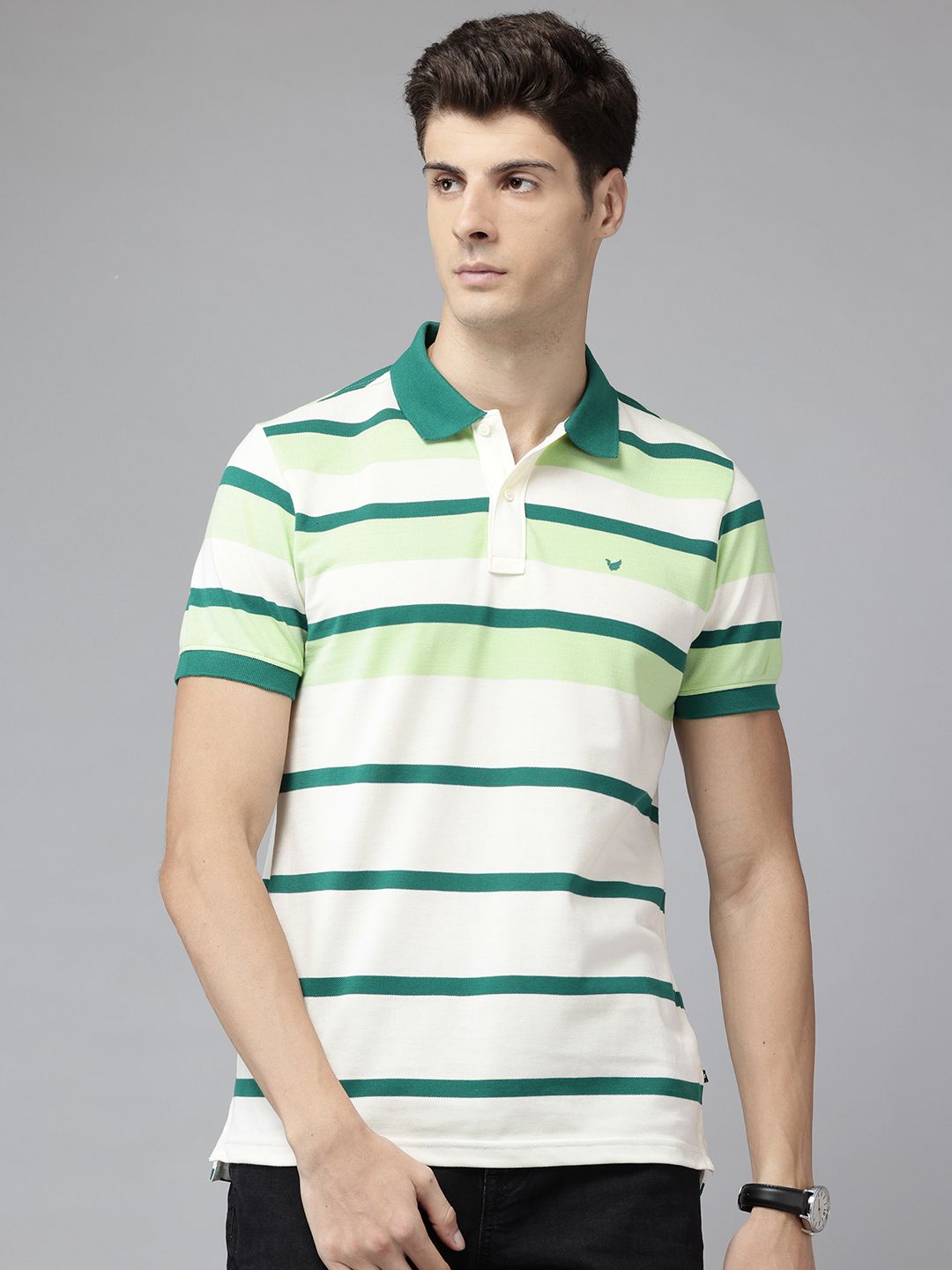 Blackberrys Men Striped Polo Collar Slim Fit T-shirt