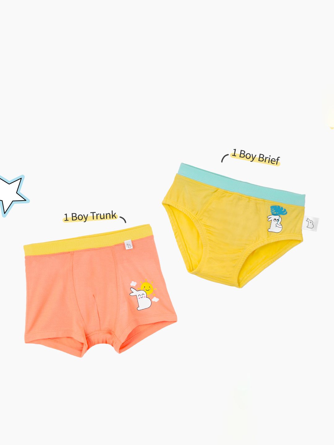 SuperBottoms Boys Pack Of 2 Assorted Basic Briefs & Trunk