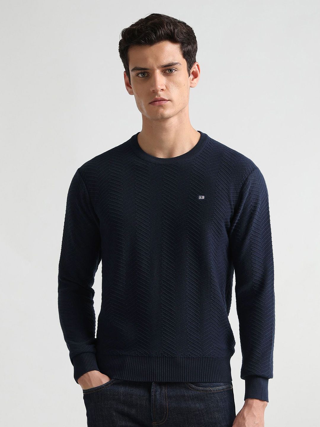 Arrow Sport  Round Neck Pullover Pure Cotton Sweaters