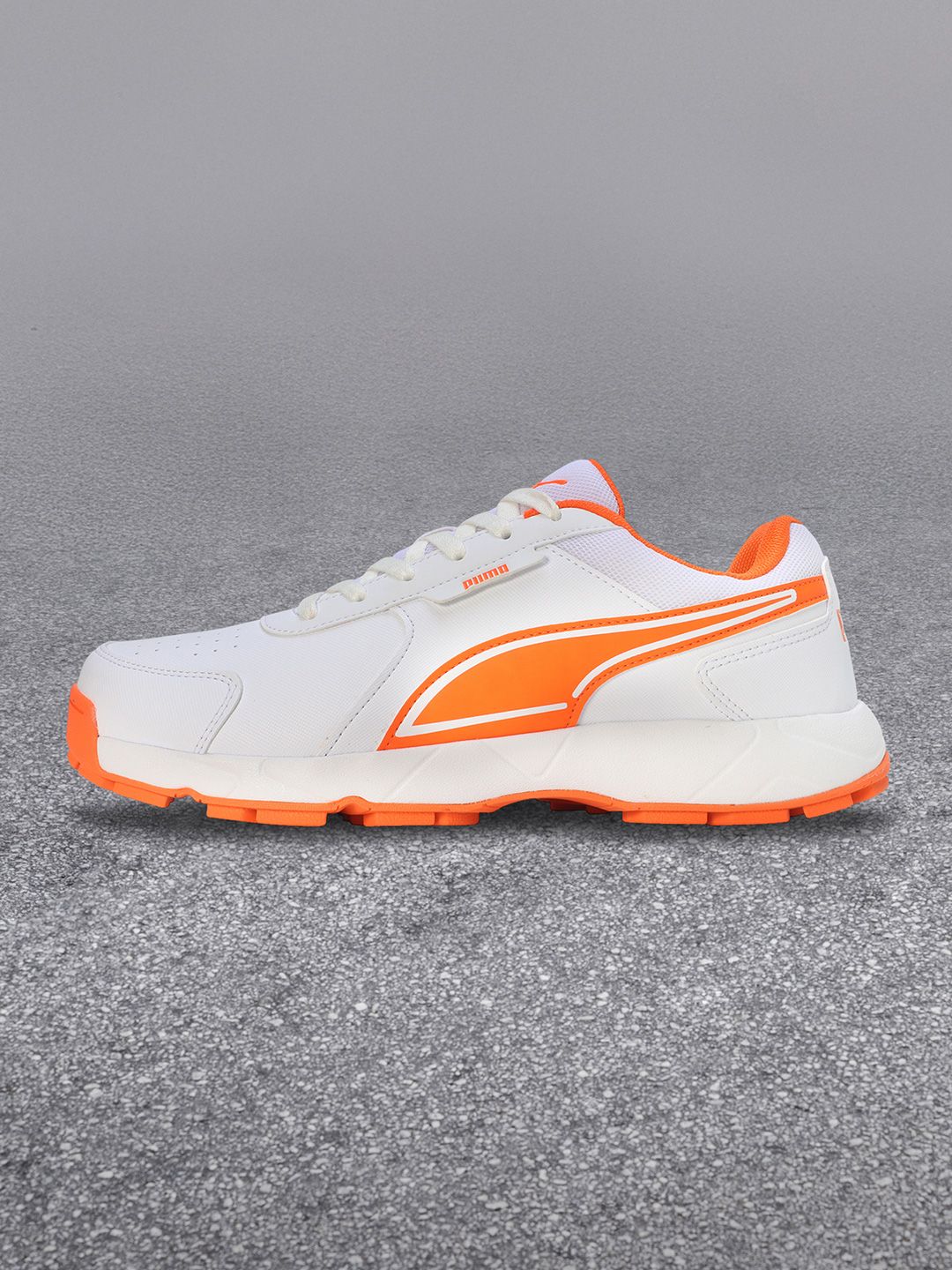 Puma Cricket Strike Men Shoes
