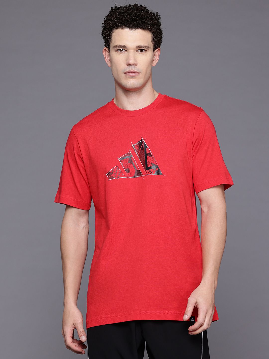 ADIDAS Brand Logo Printed Pure Cotton Regular Fit T-shirt