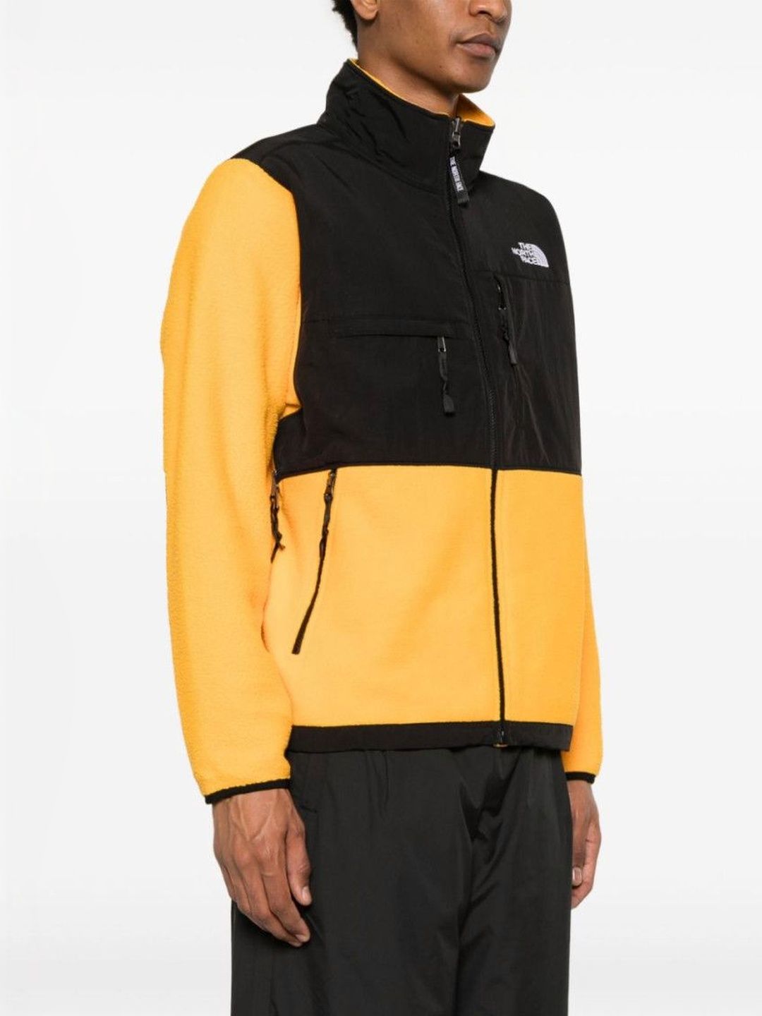 The North Face Golden Logo Fleece