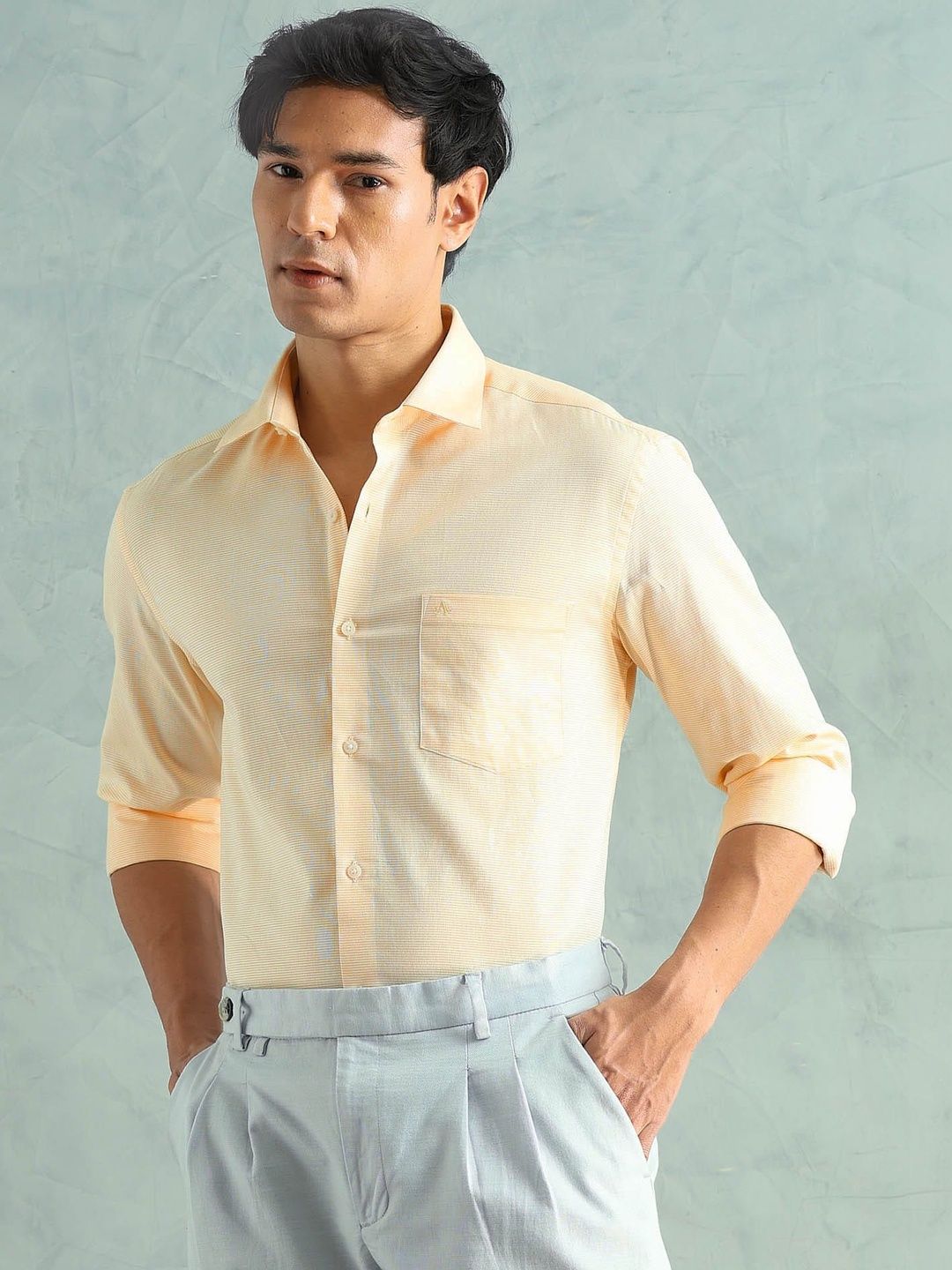 Arrow Arrow Men Slim Fit Formal Shirt