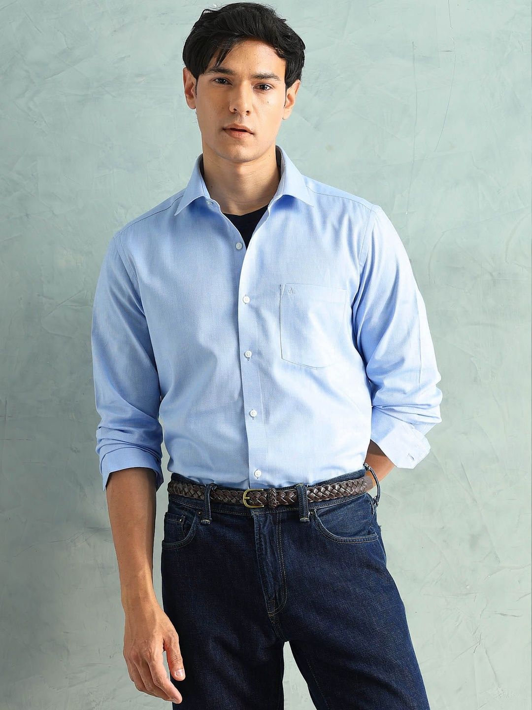 Arrow Arrow Men Formal Shirt