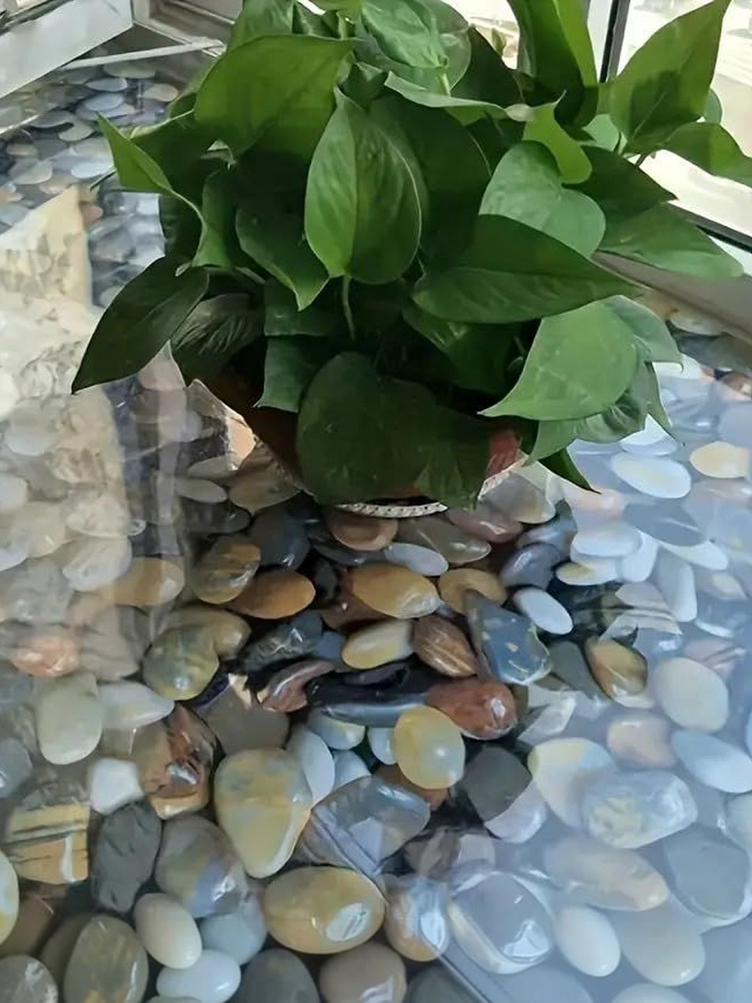 SIA VENORS SIA VENORS Blue & Brown Pebble Stone Printed Self Adhesive Wall Stickers
