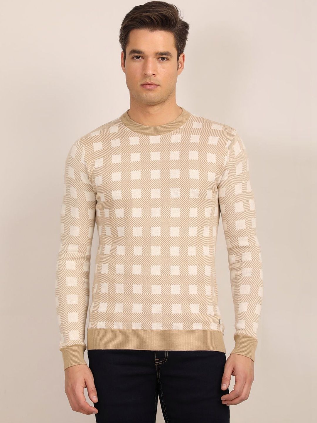 Turtle Men Printed Pullover