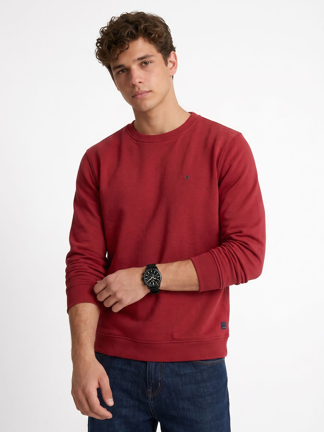 Peter England Knitted Pullover Sweatshirt