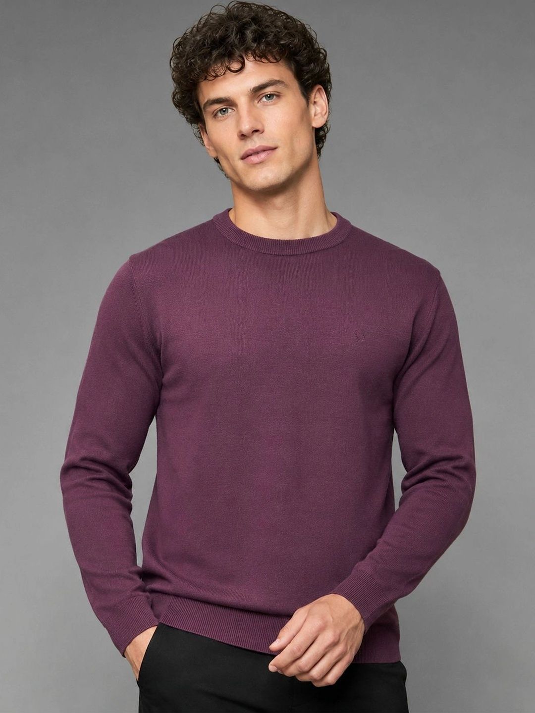 Roadster Men Pullover