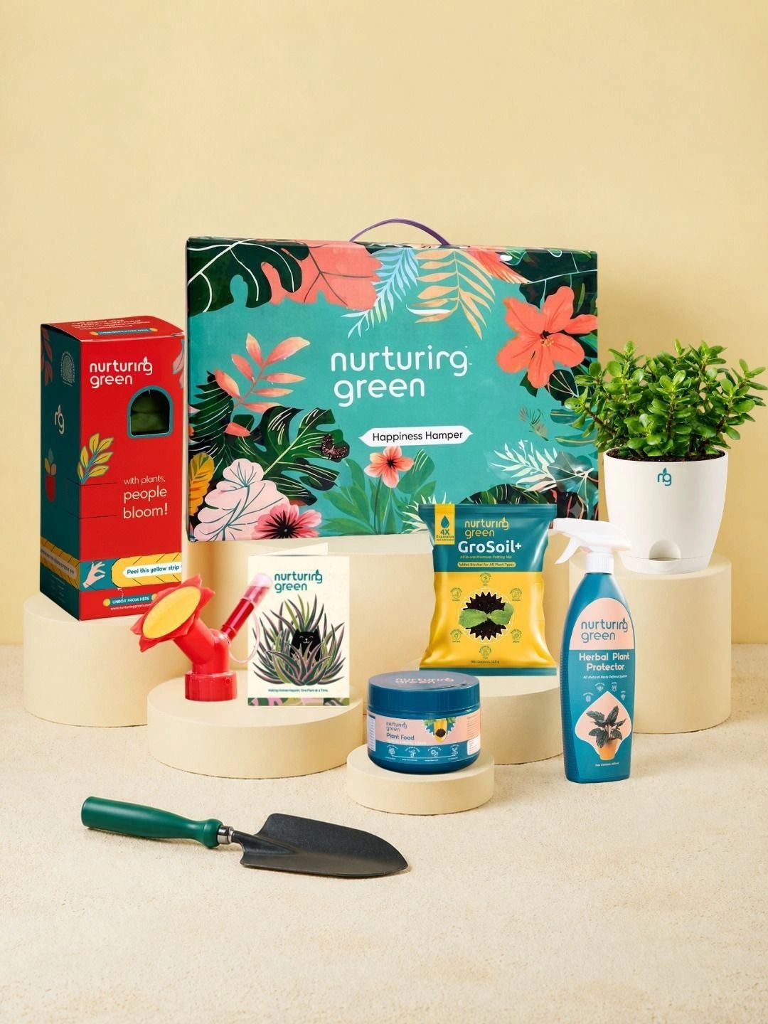 Nurturing Green Jade Plant Classic Gardening Gift Kit