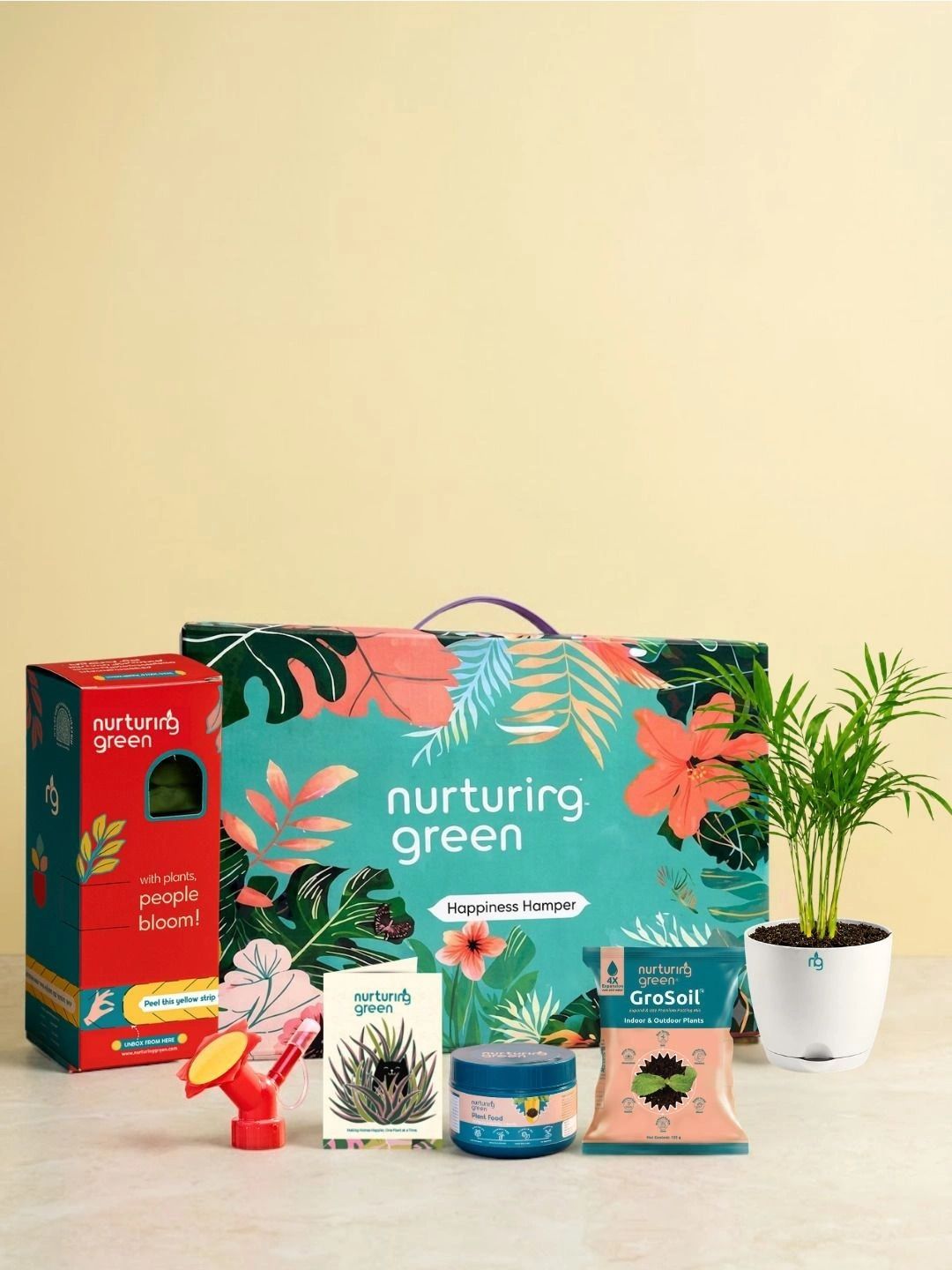 Nurturing Green Parlor Palm Classic Gift Kit