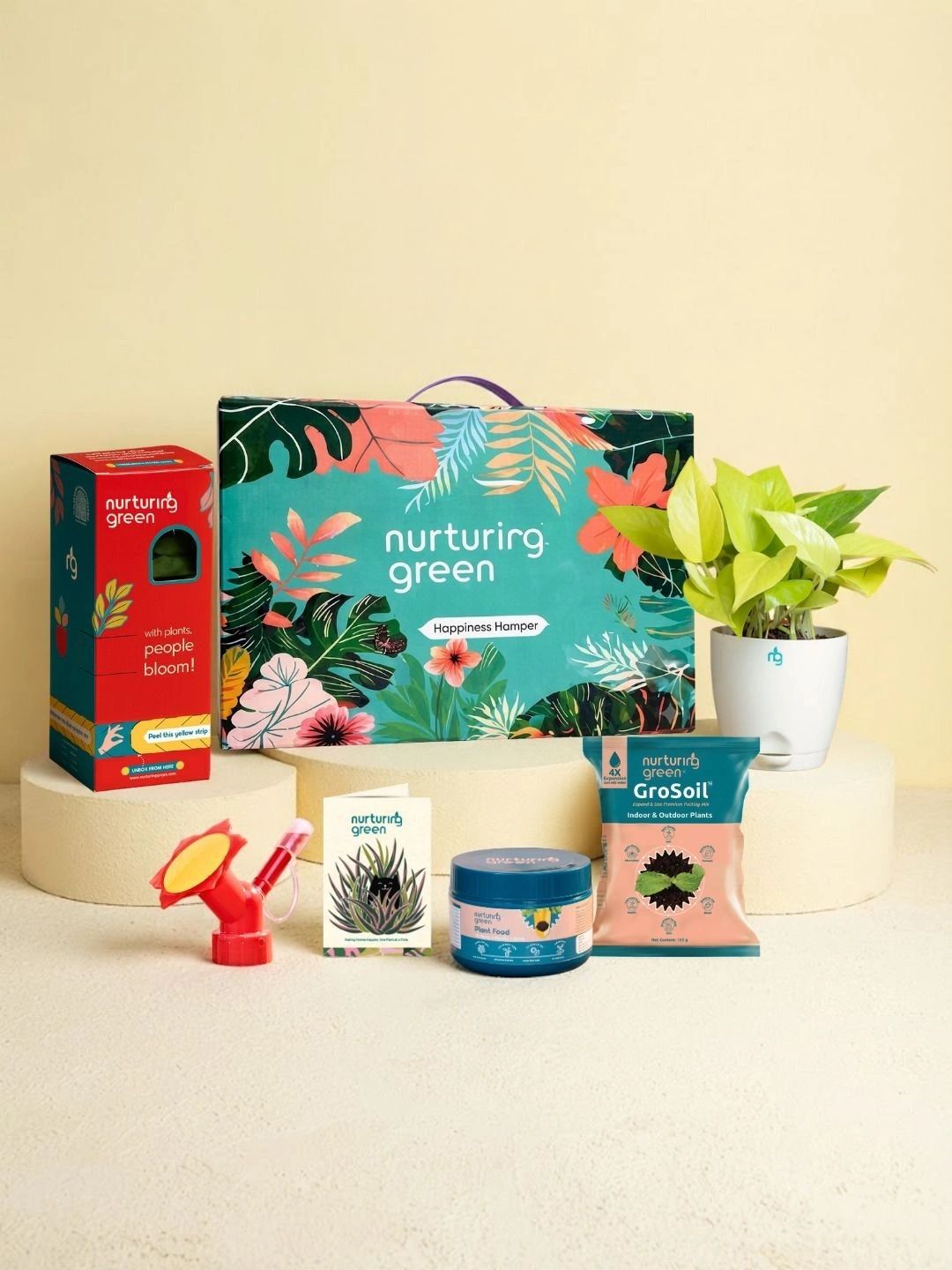 Nurturing Green Golden Money Plant Premium Kit