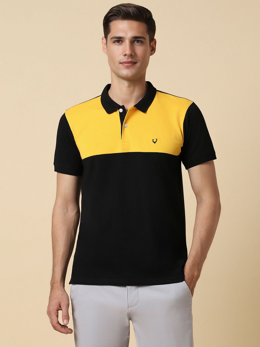 Allen Solly Colourblocked Polo Collar Pure Cotton T-shirt